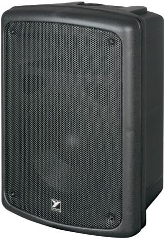 8 inch 100 watt speaker