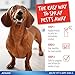 Adams Plus Flea and Tick Spray for Cats and Dogs, 16 Ozthumb 3