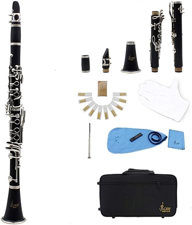 Ammoon Clarinet Klarinette Mit 17 Klappen Flach Abs Klarinette Sopran Fernglas Mit Kork Fett Reinigungstuch 10 St Ck Bl Tter Bl Tter F R Holzblasinstrument Schwarz Amazon De Musikinstrumente