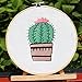 Learn to Embroidery Kits for Beginners, Pre-Stamped Cross Stitch Kits with Pattern, Hoop, Color Threads, Tools & Instruction for DIY Arts and Crafts