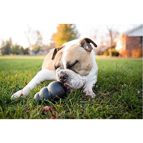 KONG Extreme Dog Toy, Large, Black