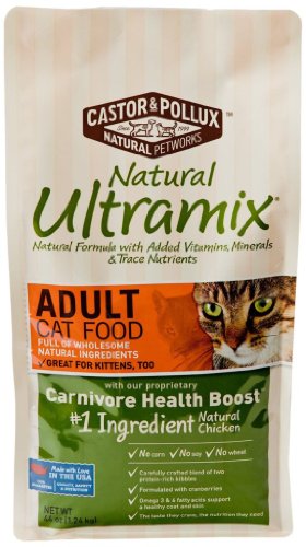 castor and pollux kitten food