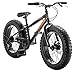 Mongoose Compac Boy's Fat Tire Bike, 20