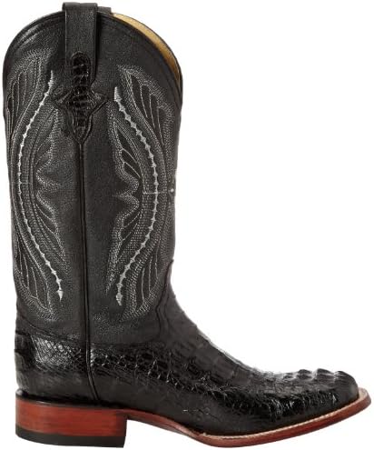 ferrini caiman boots