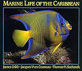 Marine Life of the Caribbean by 