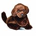 Nat and Jules Plush Toy, Chocolate Labrador, Small