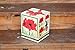 Red Lion Amaryllis Kit - Gift Box - Large Bulb, Pot and Soil