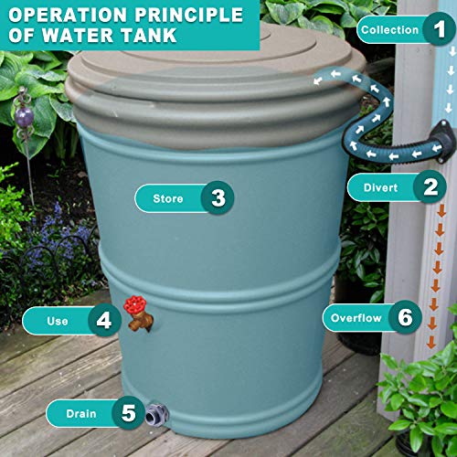 Outus 2 Pieces 1 Inch PVC Bulkhead Fitting PVC Bulkhead Fittings Rain