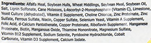 Essentials- Young Guinea Pig Food