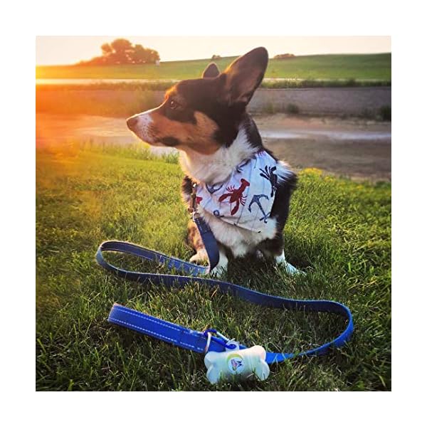 Pogis-Poop-Bags-50-Rolls-750-Dog-Poo-Bags-2-Dispensers-Scented-Leak-Proof-Biodegradable-Poo-Bags-for-Dogs Pogi's Biodegradable Dog Poo Bags - 50 Rolls (750 Dog Bags) +2 Dog Poo Bag Holders - Ultra Thick, Leak-Proof, Scented…