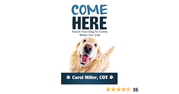 amazon shopping dog