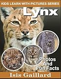 Lynx: Photos and Fun Facts for Kids