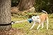 Squishy Face Studio Super Tug - Strong Dog Toy - Safe Alternative to Spring Pole or Rope