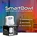 LED Smart Toilet Night Light - Motion Activated Sensor with 16 Colors & Carousal Mode - Fun for Kids and Potty Training - Battery Powered Auto On - Fits Any Toilet, Slim Modern Design by SavvyGear