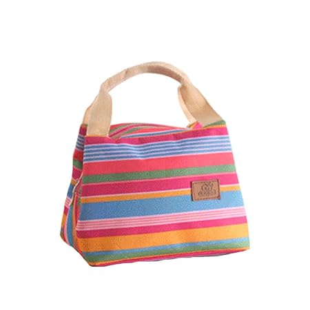 DaoRier Bolsa Térmica Plegable Bolso Nevera Térmica Tela Bolsas ...