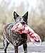 Outward Hound Ropes-A-Go-Go Dragon Interactive Plush Squeaky Dog Tug Toy