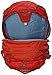 Osprey Packs Nova Daypack