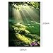 LB 5x7ft Nature Poly Fabric Photo Backdrops Customized Studio Background Studio Props M-36 …
