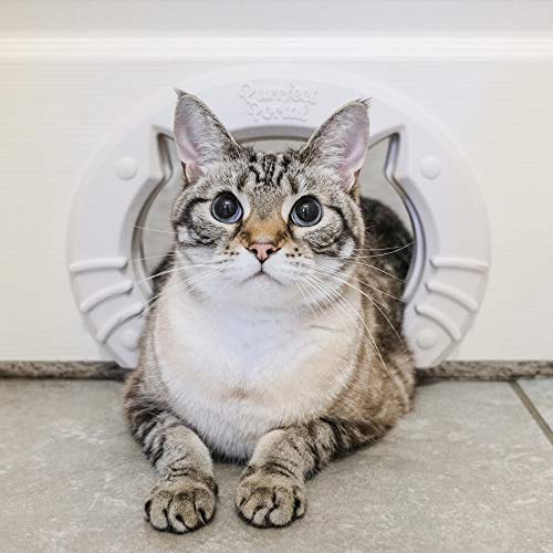 Cat Door Built In Interior Pet Door For Small Medium Large