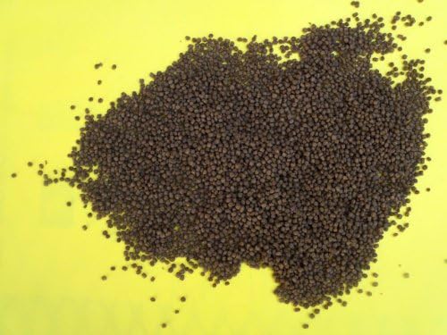 10 lb. box of 40% Protien 1/16" Floating Koi Food Made in the USA