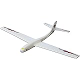 skyraider foam glider