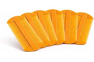 RayNab 6 Pack Lice Combs – Strong Fine Tooth PP Plastic Nit Remover Hair Combs – Gentle Head Lice Treatment Tool for Kids & A
