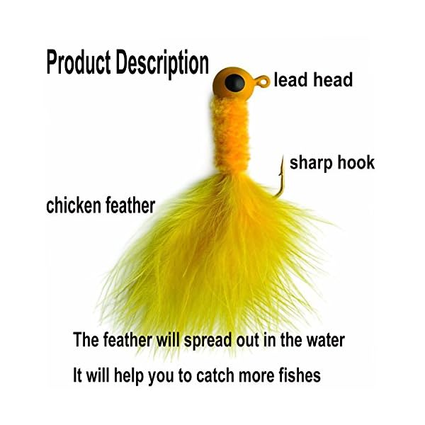 Shaddock-Fishing-30-Pack-Fishing-Crappie-Jigs-Fishing-Hard-Lure-Accessory-Bass-Pike-Walleye-Feather-Lead-Head-Hook-Rubber-Marabou-Jigs-for-Ice-Fly-Fishing