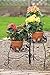 Panacea Products 3-Tiered Folding Scroll and Ivy Plant Stand Black with Brushed Bronze Leaves