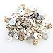 Funnytoday365 100Pcs Lot 10Mm Round Shell Sewing Buttons 2 Hole Button Natural Shell Buttons Color Japan Mother Of Pearl Mop