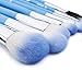 amoore Makeup Brushes Makeup Brush set Makeup Brush with Case Foundation Brush Powder Brush (8 Pcs)
