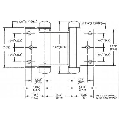 Buy Double Action Spring Hinge For Saloon Or Cafe Doors 3 Double Action Spring Hinge Hinges Satin Brass Online In Turkey B01c7ixxz6