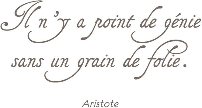 Les Tresors De Lily Q4799 Planche De Stickers Messages Il N Y A Point De Genie Sans Un Grain De Folie Aristote x70 Cm Amazon Fr Cuisine Maison
