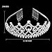 Thmyo Rhinestones Crystal Wedding Bridal Pageant Hair Jewelry Princess Tiara Crown Birthday Headband (Silver)
