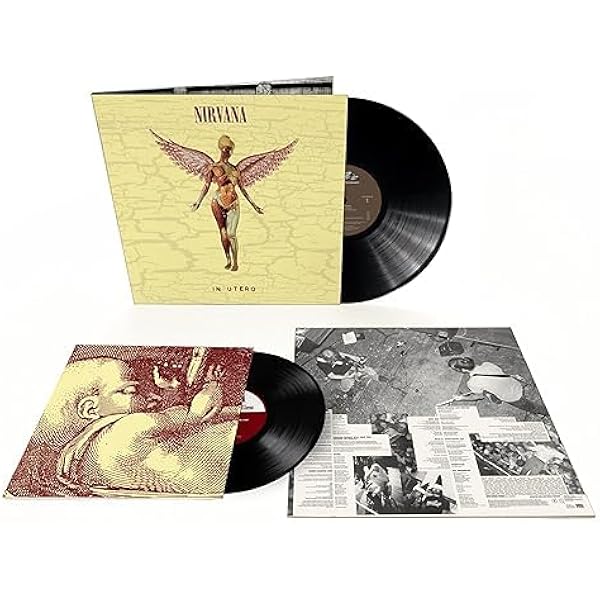 洋楽 NIRVANA - Nevermind incesticide EU1992LP Nevermind - Nirvana
