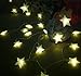 TINNZTES New Warm White 4m/13ft 40 LED Star Light Fairy String Light for Hotel Home Weddings Family School Party (Warm White)