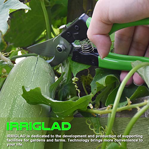 IRRIGLAD V8 Professional Pruning Shears, Gardening Scissors, Hand Pruners, Garden Clippers, Stainless Steel Blades, 8" Heavy Duty Tree Trimmers, Safety Lock - Thumbnail 6
