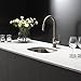 KRAUS Premier 15-inch 18 Gauge Undermount Single Bowl Stainless Steel Kitchen Bar Sink, KBU17