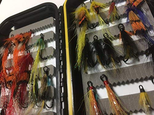 BestCity Salmon Fly Box with 24 Double Salmon Flies – Traditional Salmon Fishing Fly Selection in black Fly Box