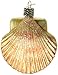 Old World Christmas Scallop Shell Glass Blown Ornament for Christmas Tree