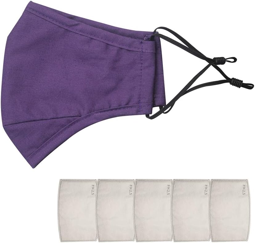 HCTian Anti Pollution Mask Carbon Filtering Dustproof Washable Cotton Face Mouth Mask for PM 2.5 Outdoor Cycling Ski Earloop Mask (purple mask+ 5pcs filters)