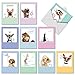 The Best Card Company - 10 Blank Dog Cards Assorted (4 x 5.12 Inch) - Adorable Boxed Animal Note Cards for All Occasions - Dogs & Doodles M6582OCB