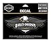 Harley-Davidson Vintage Eagle Logo Decal, MD Size - 6 x 2.5 inches DC289883