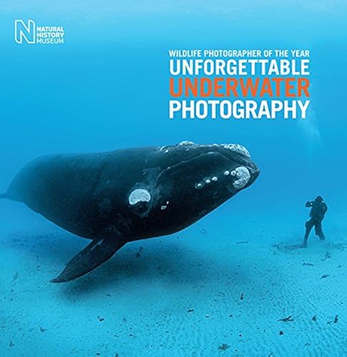 Download Wildlife Photographer of the Year: Unforgettable Underwater Photography PDF
