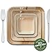 Thynk Palm Leaf Plates, All Natural and Compostable Disposable Plates, Eco Friendly and Elegant 9.5 inch square, 20 Count