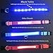 BLAZIN Light Up Dog Leash LED - 1,000 Feet of Visibility - USB Rechargeable Waterproof Glow in The Dark Dog Leash - 6 Foot, Pink