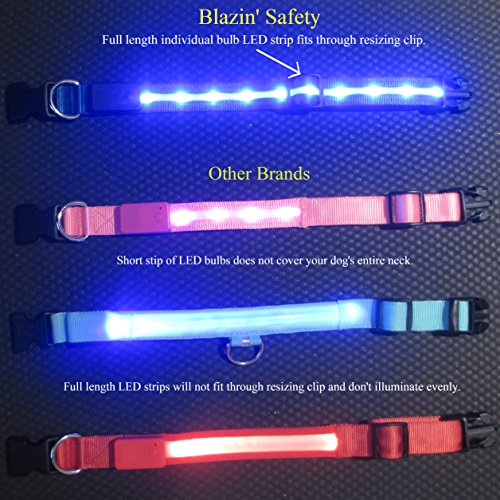 Blazin' Safety LED Dog Collar - USB Rechargeable with Water Resistant Flashing Light - Large Christmas