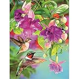 MXJSUA DIY 5D Diamond Painting Crystal Round Transparent Drill Kits Sparkle Rhinestone Picture Art Craft Home Wall Decor 12x16In Hummingbird Flower