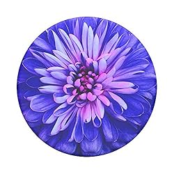 PopSockets PopTop