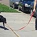 Leashboss City Handler - Handle Leash for Large Dogs - 1 Inch Wide Nylon Dog Leash with Grip (6 Foot, Red)