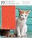Cat Page-A-Day Gallery Calendar 2019